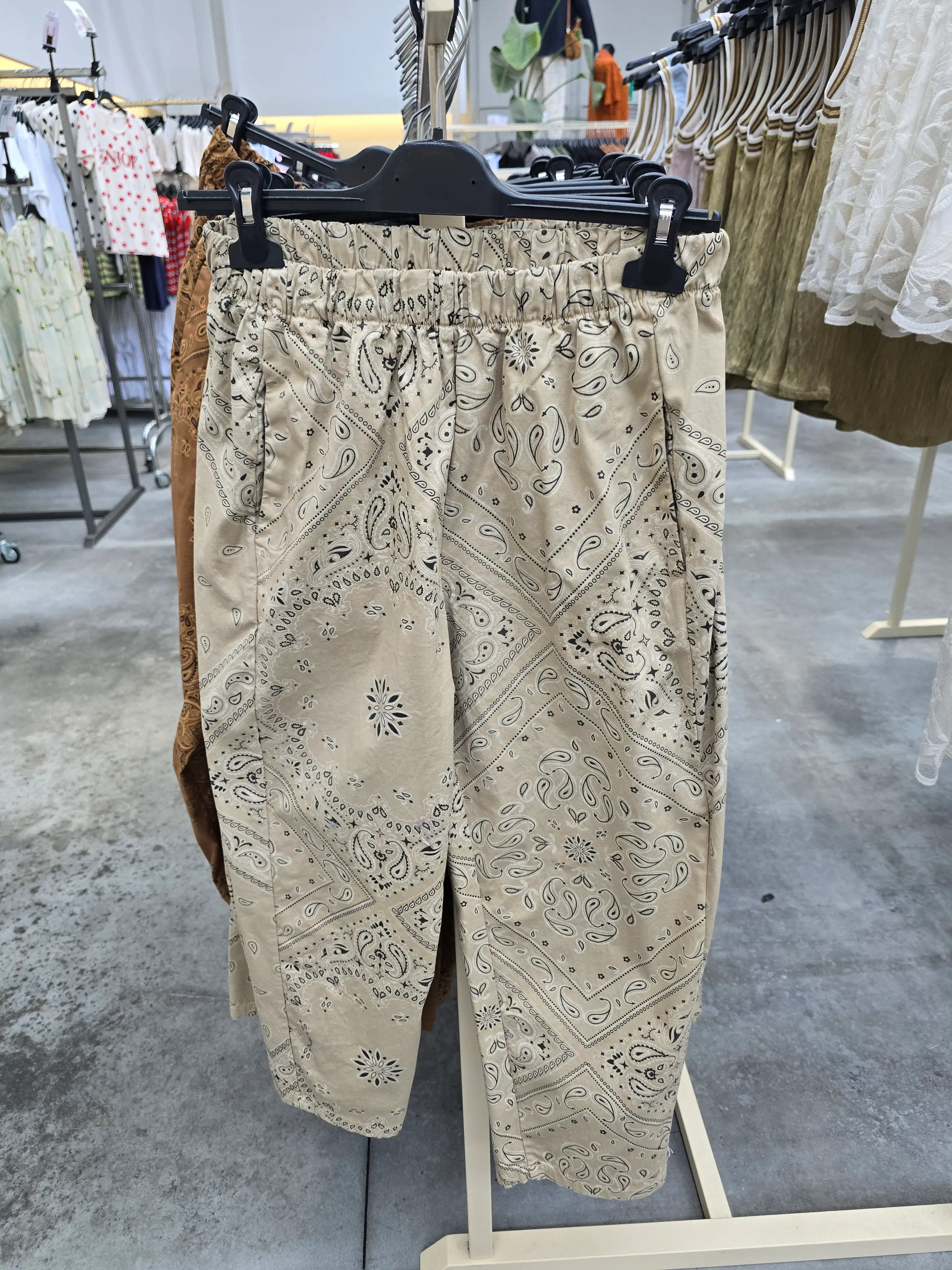 Hose/Shorts