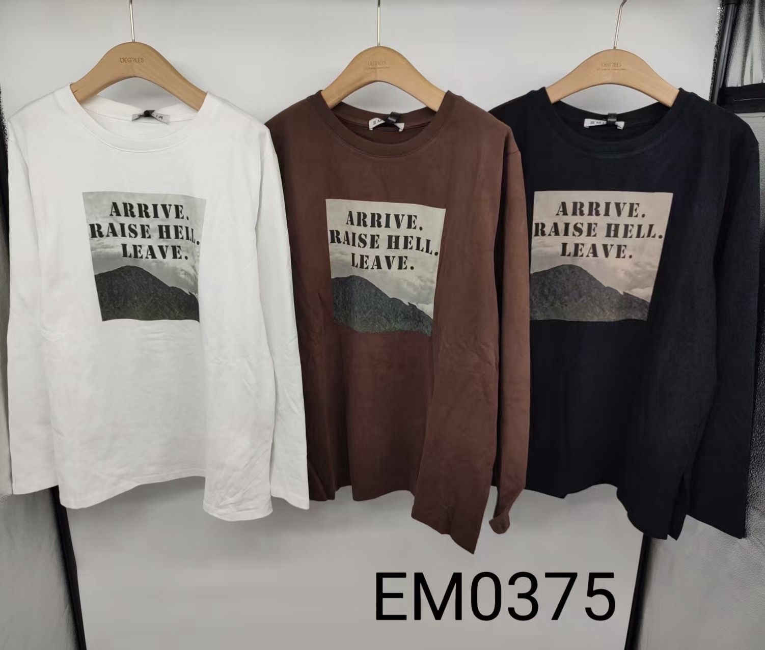 Longsleeve mit großem Schriftzug